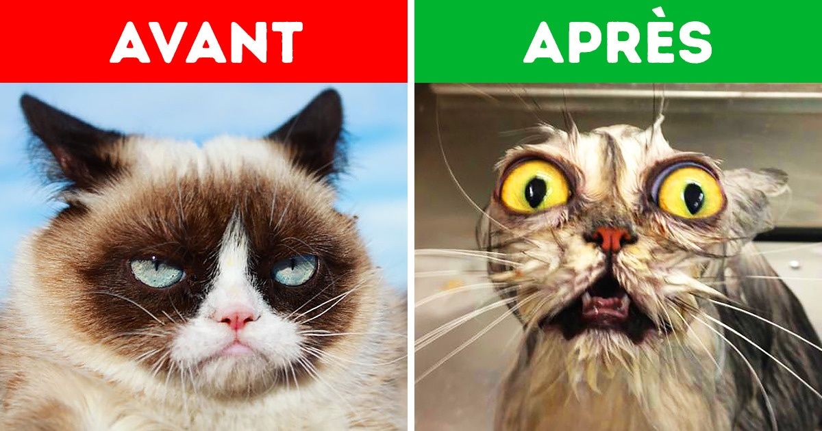 Cette routine matinale de 14 minutes t’aidera à te réveiller mieux qu’un café