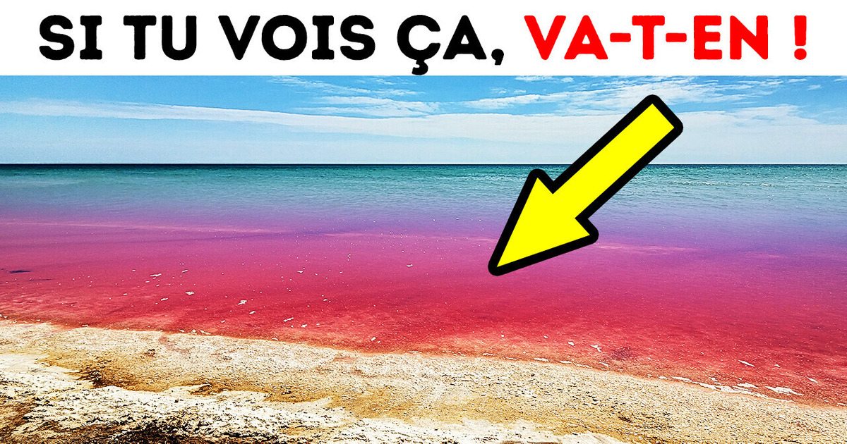 Si Tu Vois Que L’océan Est Rouge, Ne T’en Approche Pas !
