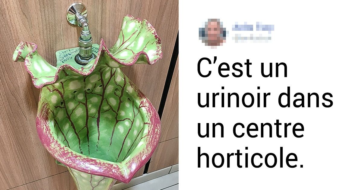 20+ Choses insolites mais qui n’en sont pas moins réelles