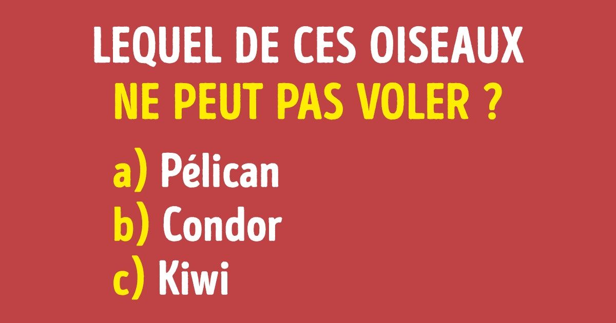 Test : Parmi ces 36 oiseaux, essaie de deviner quels sont les 12 qui ne peuvent pas voler