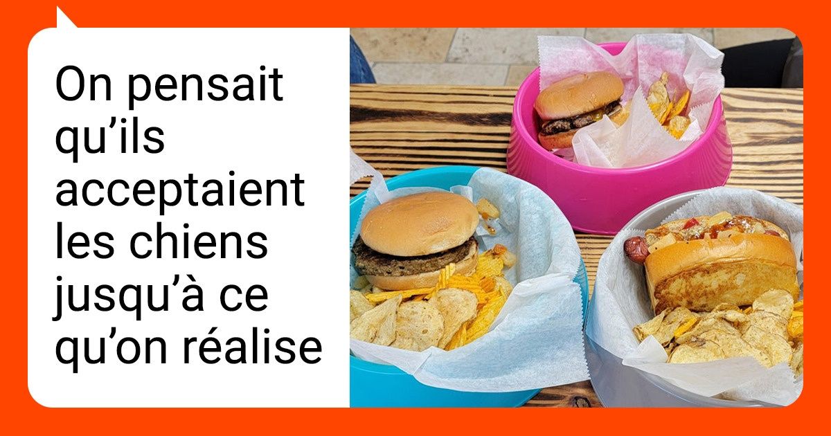 24 Restaurateurs proposent des plats incroyables que tu n’aurais sans doute jamais eu l’idée de présenter comme cela