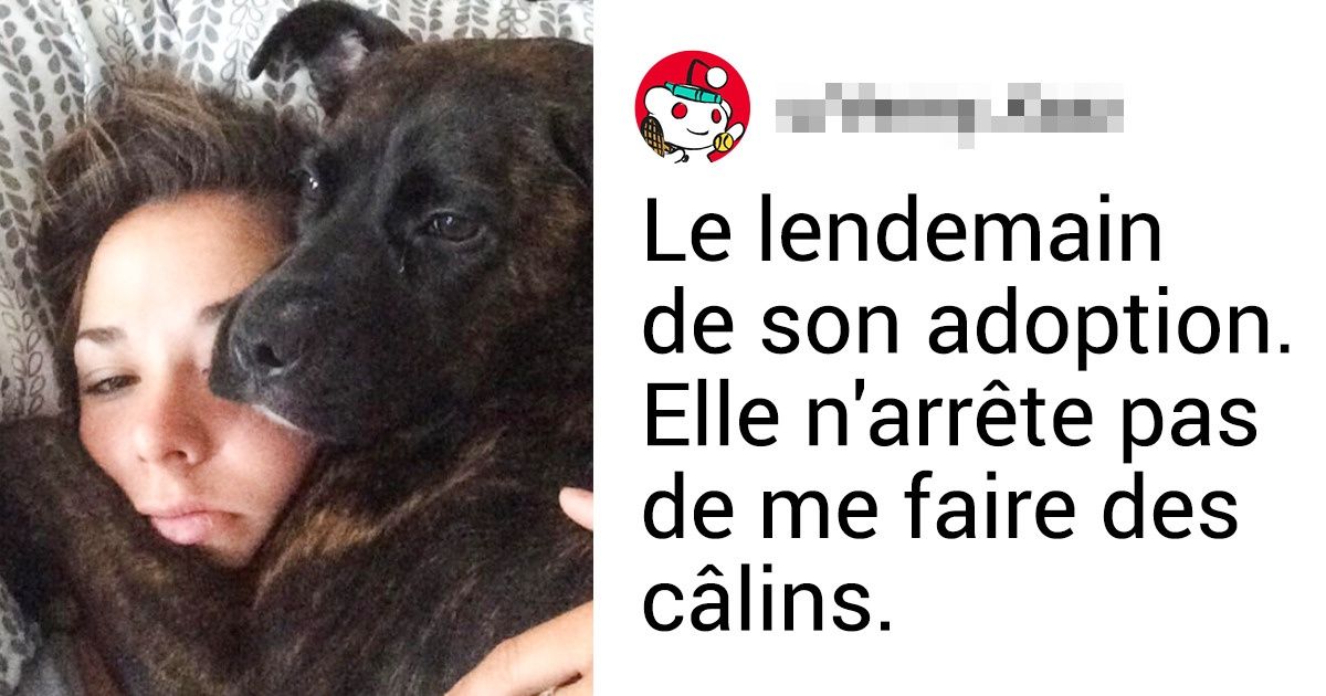 20 Internautes ont partagé des photos et des anecdotes de leurs animaux adoptés