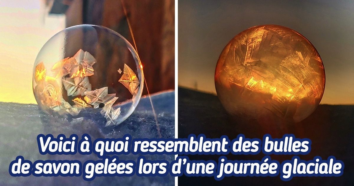 20+ Personnes qui pourraient concourir pour le prix de la photo la plus impressionnante de l’hiver