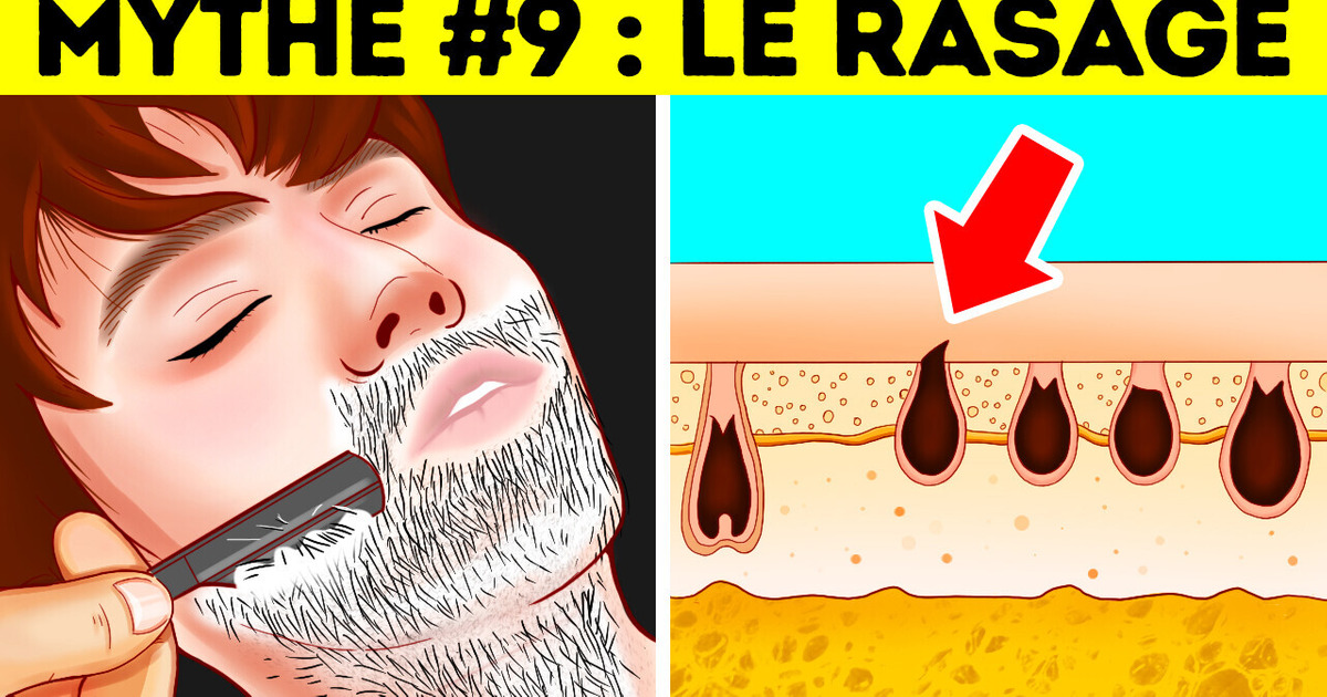 14 Idées Reçues Sur Le Corps Humain Qui Pourraient Bien Être Des Mythes 14 Idées Reçues Sur Le Corps Humain Qui Pourraient Bien Être Des Mythes