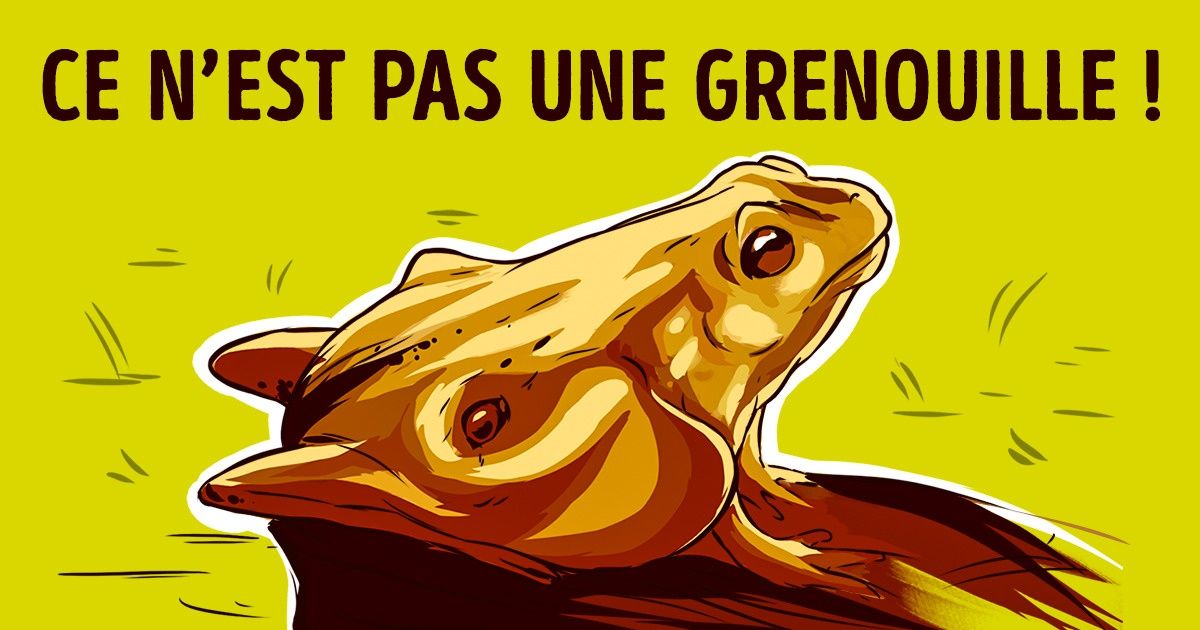 11 Illusions d’optique qui révéleront ton type de personnalité