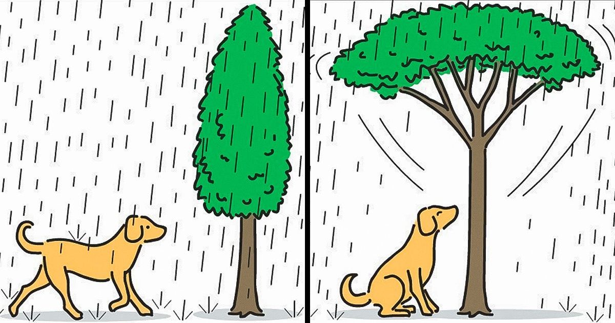 24 Illustrations originales d’un dessinateur malaisien inspiré par les petites choses du quotidien