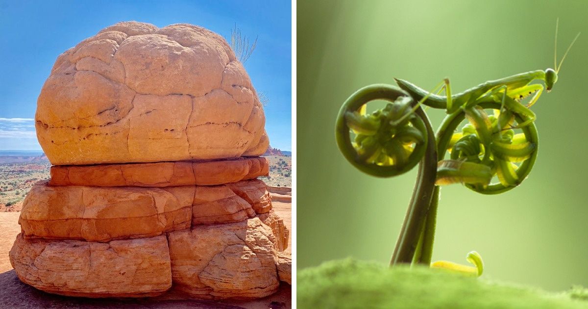 20 Photos qui nous prouvent que la nature a toujours des surprises à nous montrer