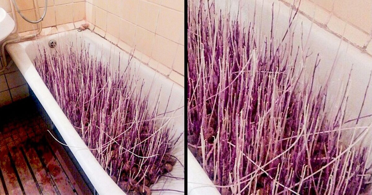 Ces 26 photos ont plus de sens que tu ne le penses