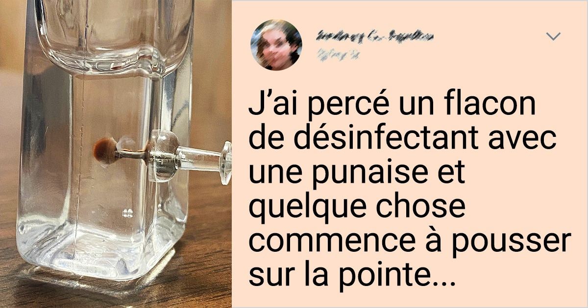 15+ Photos impressionnantes qui montrent le monde sous un nouvel angle