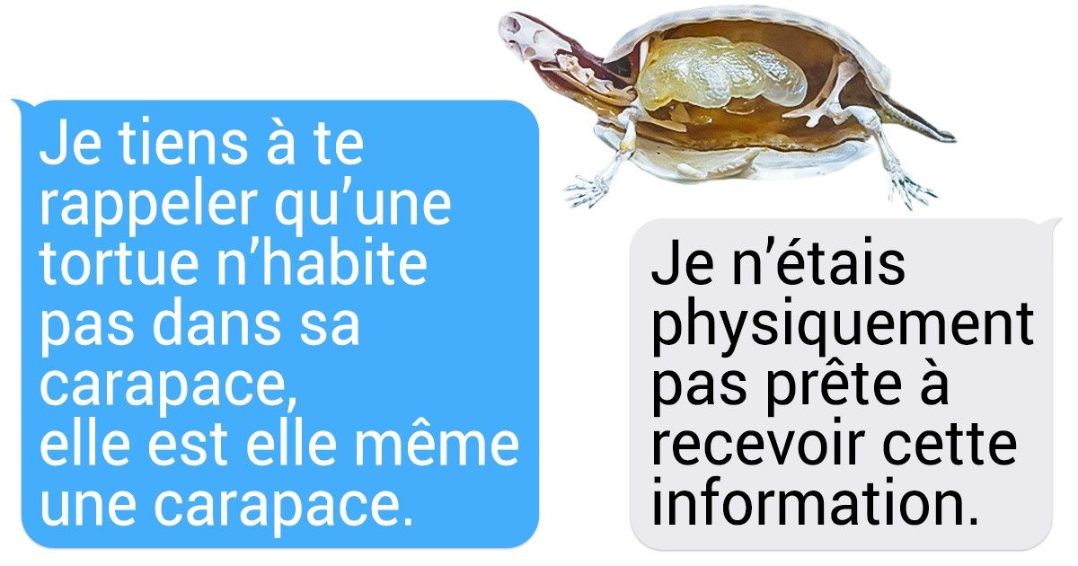 19 Photos où des choses ordinaires nous révèlent leurs petits secrets