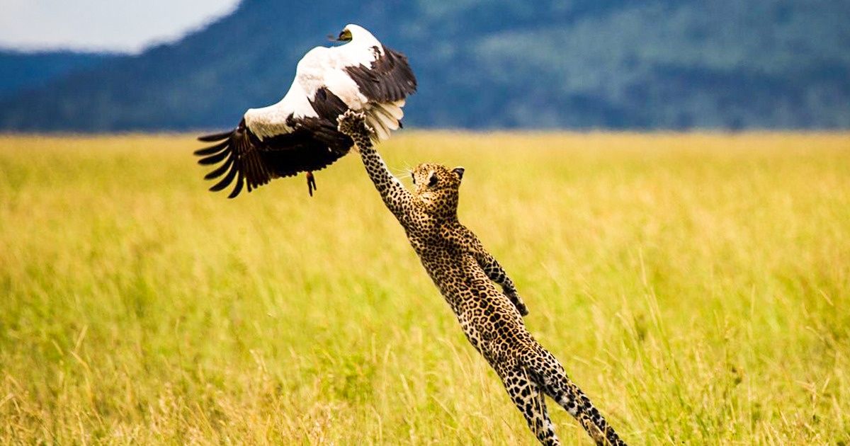 Les 26 meilleures photos de voyageurs de National Geographic qui donnent des envies de voyager