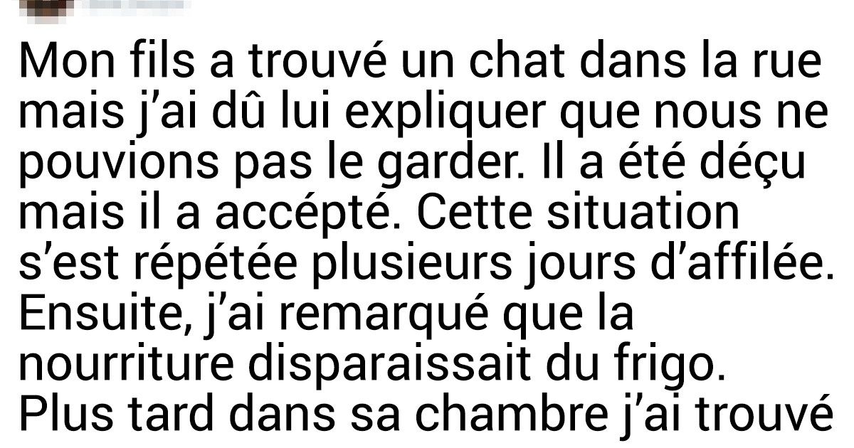 16+ Histoires d’animaux très touchantes et émouvantes 16+ Histoires d’animaux très touchantes et émouvantes