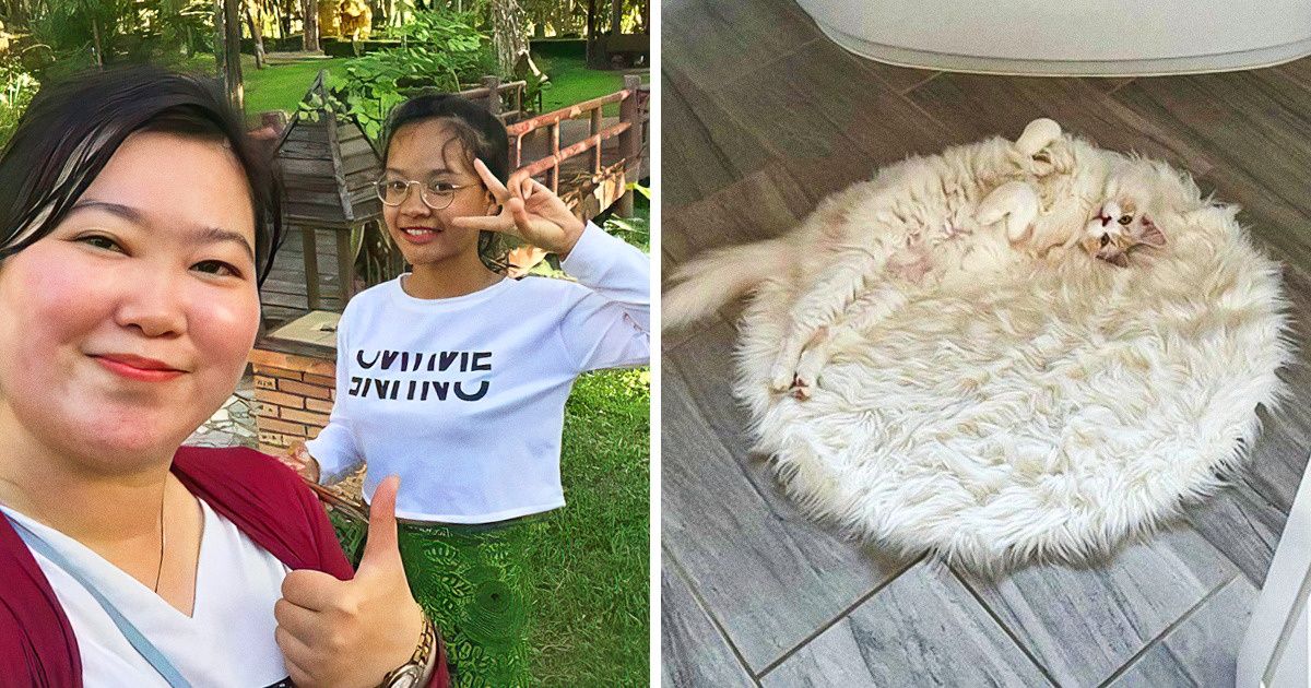 20+ Preuves que, fondu dans le bon décor, tout peut devenir “invisible”