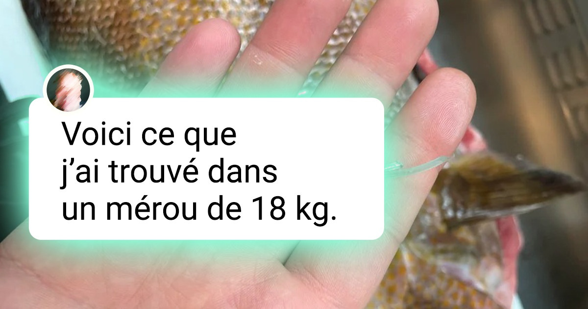 15+ Chefs qui ont trouvé quelque chose de curieux dans leur cuisine 15+ Chefs qui ont trouvé quelque chose de curieux dans leur cuisine