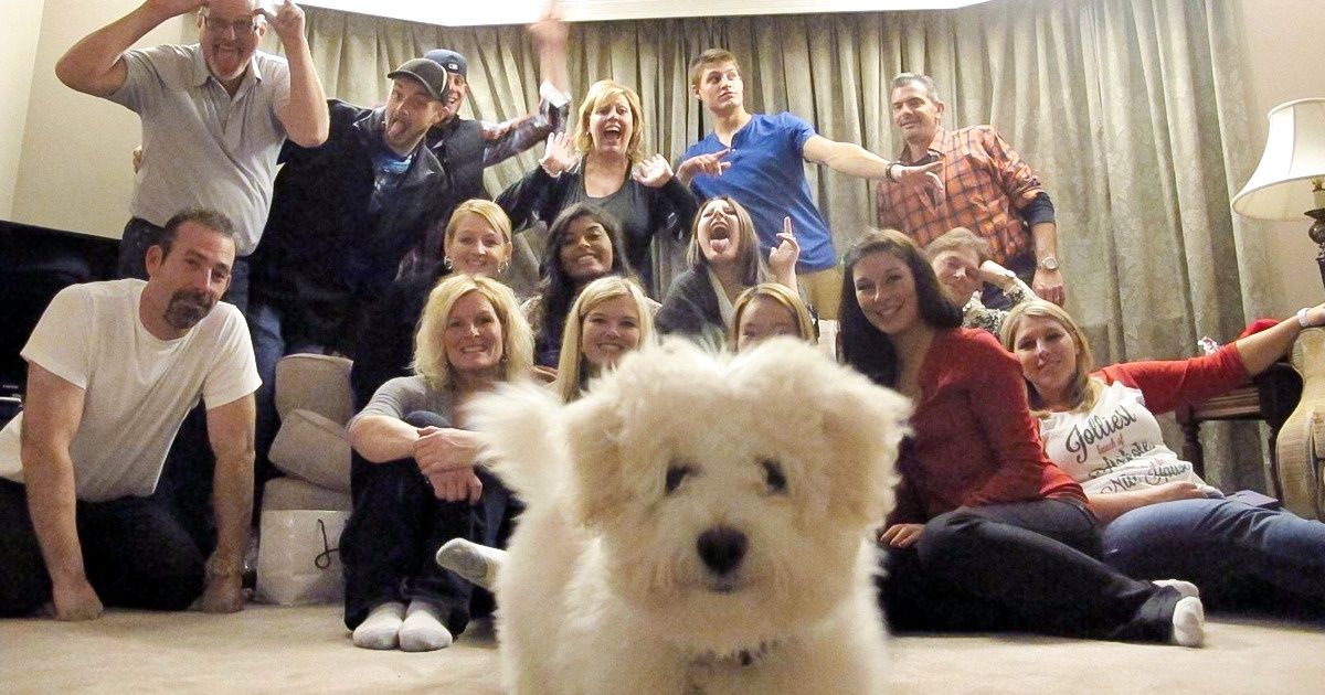 20+ Animaux qui ont surpris tout le monde en faisant irruption sur une photo