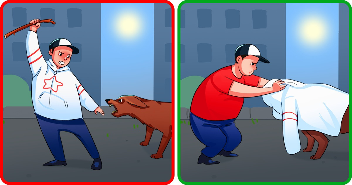 18 Choses simples que tu dois savoir si tu te fais attaquer par un chien 18 Choses simples que tu dois savoir si tu te fais attaquer par un chien