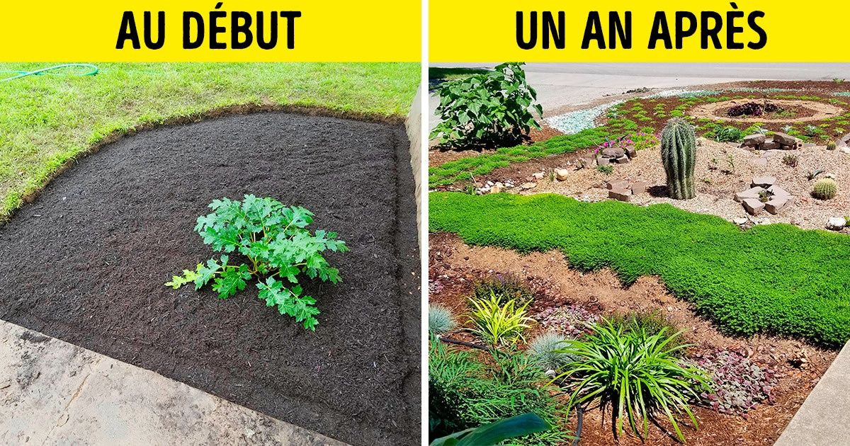Cet homme a commencé à cultiver un jardin en mémoire de sa femme, et la nuit, un mystérieux inconnu lui donne un coup de main