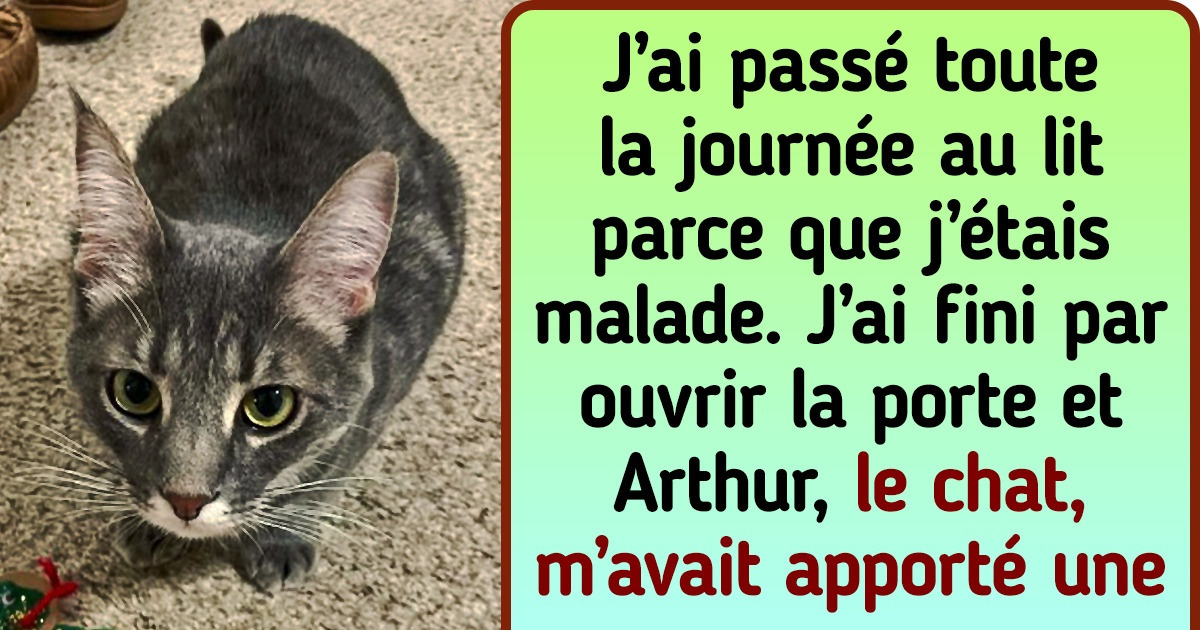 20+ Animaux qui prouvent par leurs actions qu’ils prennent soin de leurs maîtres