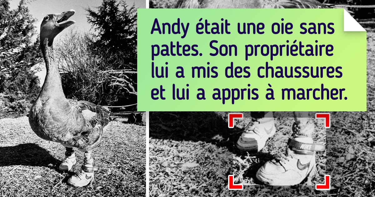 16 Personnes qui font du monde un endroit meilleur