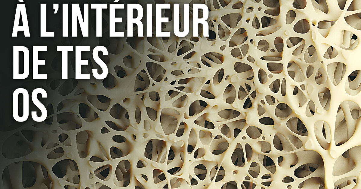 Tu es Vivant Grâce à ce Minuscule os Tu es Vivant Grâce à ce Minuscule os