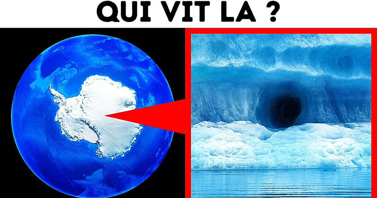 Une étrange grotte avec des escaliers a été découverte en Antarctique