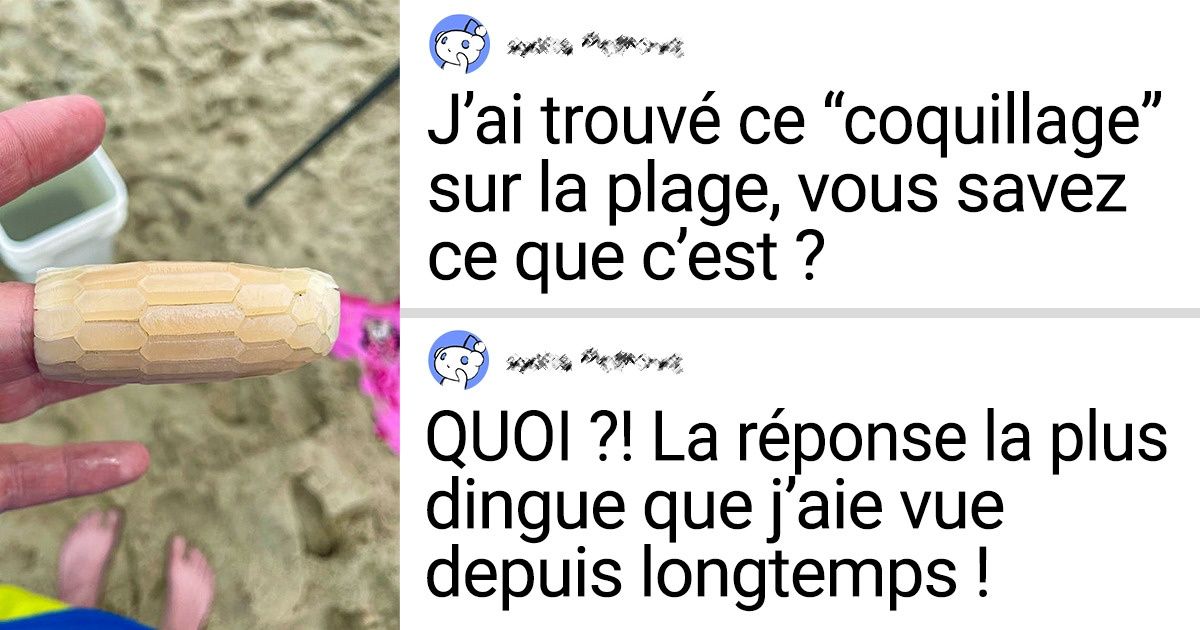 20 Objets mystérieux qui ont une fonction complètement différente de celle que l’on s’imaginait à la base 20 Objets mystérieux qui ont une fonction complètement différente de celle que l’on s’imaginait à la base