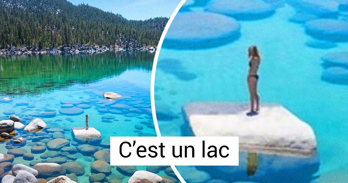 20+ Photos avec une petite surprise qui leur donne du peps