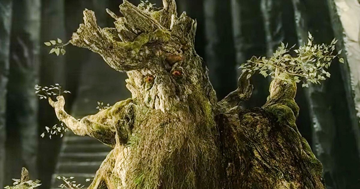 Selon des études scientifiques, les arbres seraient capables de communiquer entre eux Selon des études scientifiques, les arbres seraient capables de communiquer entre eux