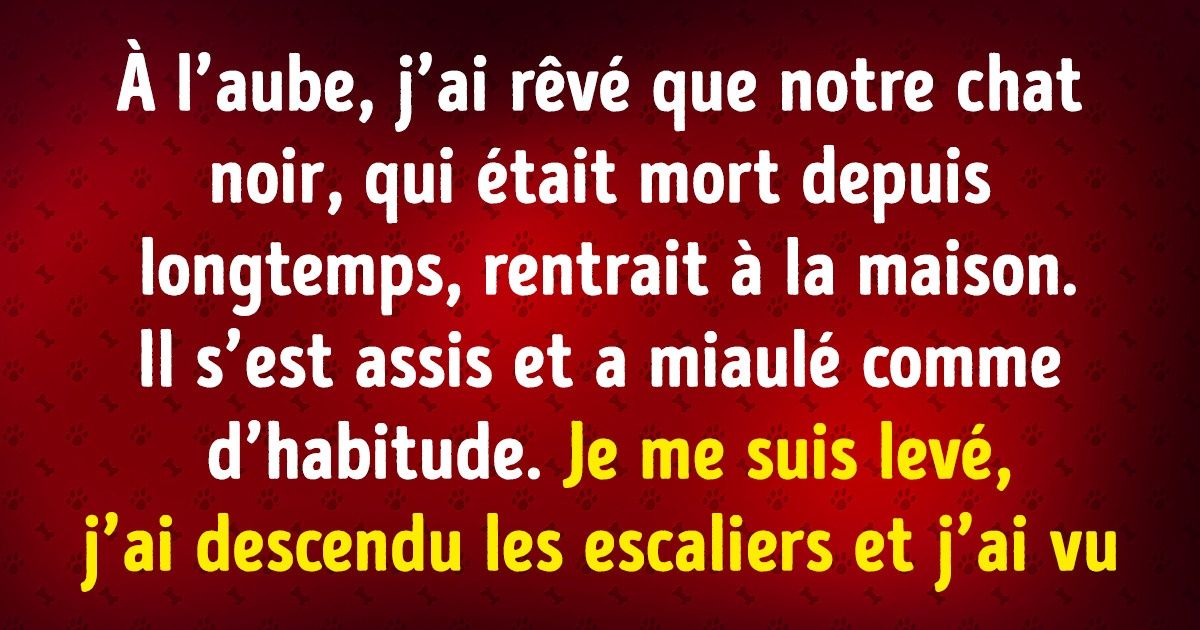 Les internautes nous racontent leurs prémonitions et ces “coïncidences” ne vont pas te laisser indifférent Les internautes nous racontent leurs prémonitions et ces “coïncidences” ne vont pas te laisser indifférent