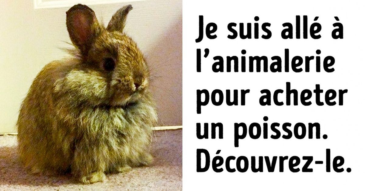 Ces 16 personnes ont spontanément adopté un animal de compagnie, parce qu’elles ont senti que c’était “l’élu”