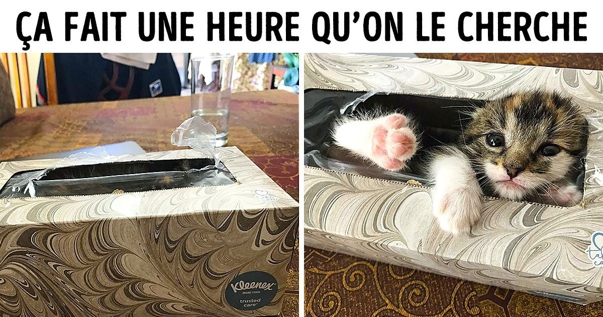 Ces 25 photos pourraient émouvoir même ceux qui ont un cœur de pierre
