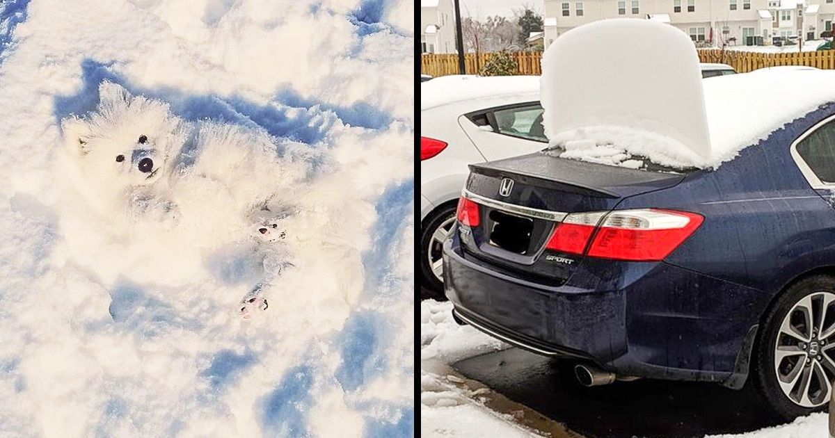 26 photos qu’on ne peut prendre qu’en hiver !