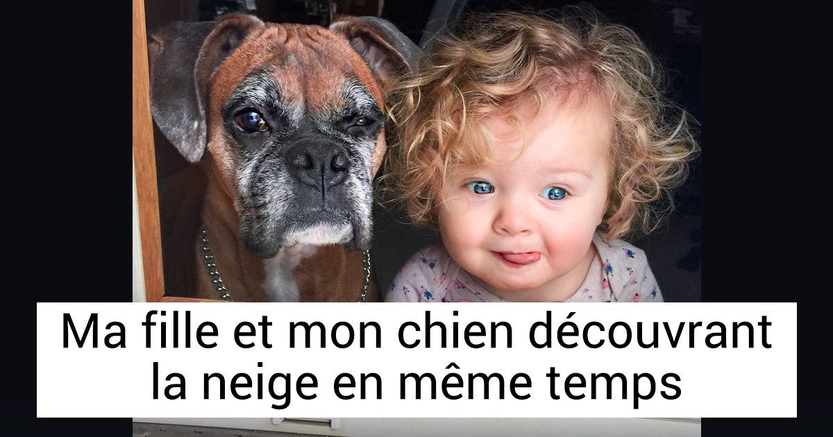 20 Photos qui prouvent que les chiens sont un vrai cadeau du ciel