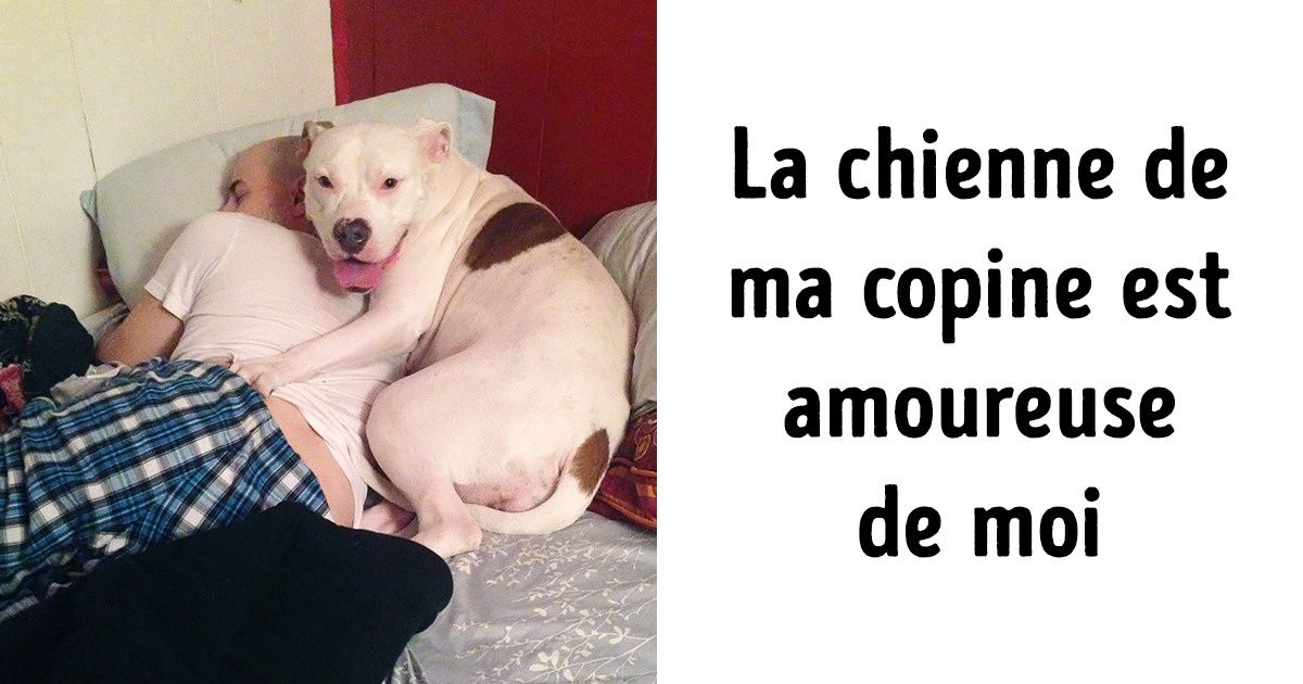 20+ Animaux qui portent un amour inconditionnel pour leurs maîtres 20+ Animaux qui portent un amour inconditionnel pour leurs maîtres
