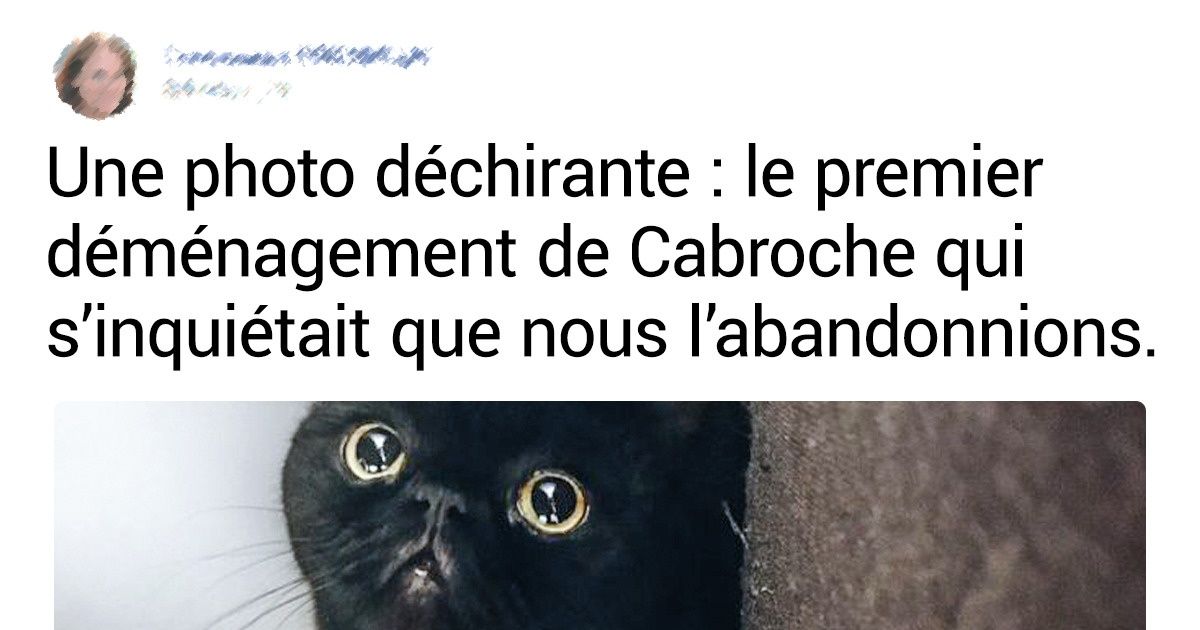20+ Créatures attendrissantes qui vont réchauffer ton cœur au premier regard