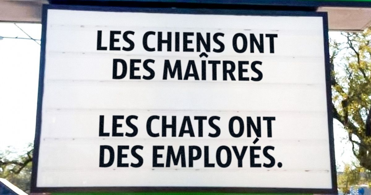 Ces 20 panneaux de différentes cliniques vétérinaires nous montrent à quel point il est amusant de travailler avec les animaux... Ces 20 panneaux de différentes cliniques vétérinaires nous montrent à quel point il est amusant de travailler avec les animaux...