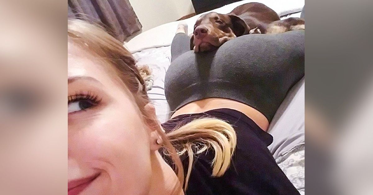 20+ Animaux domestiques qui savent trouver un endroit confortable n’importe où 20+ Animaux domestiques qui savent trouver un endroit confortable n’importe où