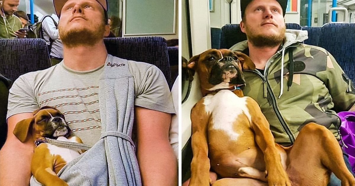 15 Photos qui prouvent que les animaux aussi peuvent mener des vies palpitantes