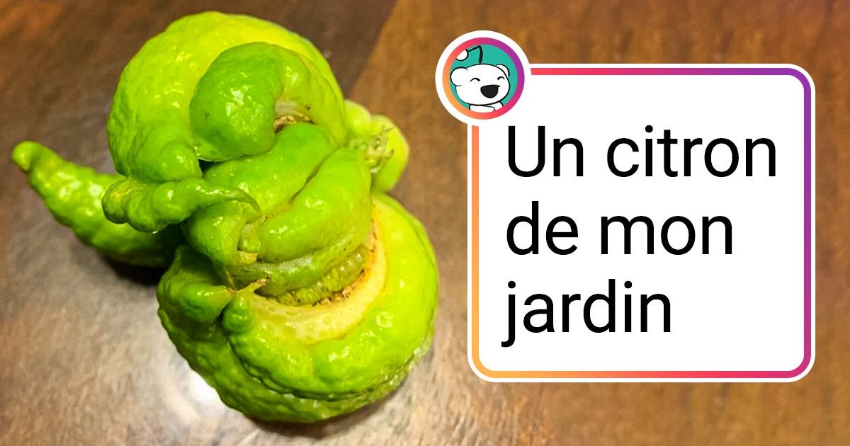 15 Fois où les gens ont découvert quelque chose de vraiment étrange