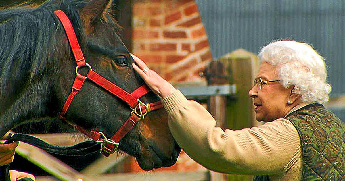 La reine Élisabeth II a sauvé une race entière de chevaux de l’extinction et on ne peut que l’en remercier chaudement La reine Élisabeth II a sauvé une race entière de chevaux de l’extinction et on ne peut que l’en remercier chaudement