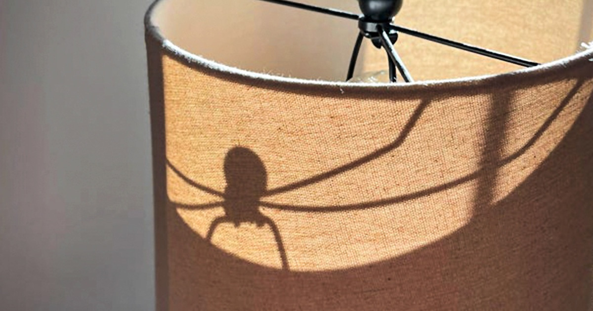 19 Fois où les ombres nous ont laissés bouche bée