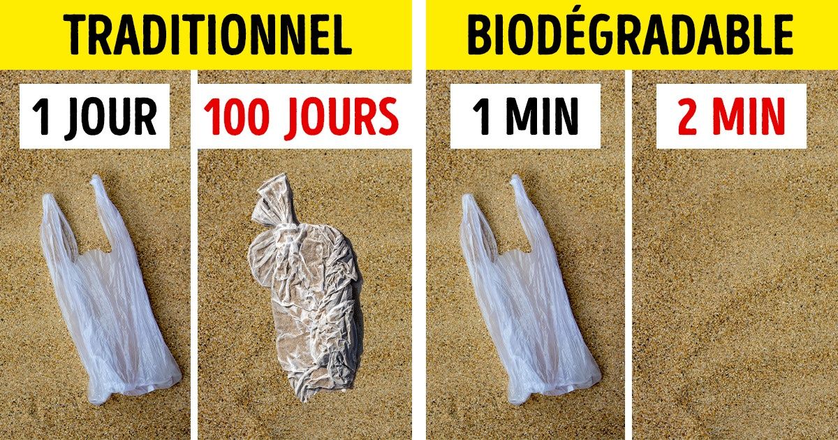 Cette femme a inventé un nouveau type de plastique biodégradable, et c’est un pas immense qui sauvera peut-être nos océans Cette femme a inventé un nouveau type de plastique biodégradable, et c’est un pas immense qui sauvera peut-être nos océans
