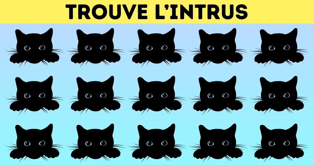 Test : Trouve l’intrus en moins de 10 minutes