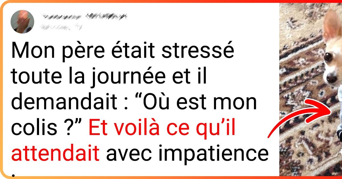18 Hommes qui n’avaient pas l’intention d’adopter un animal, mais qui ont finalement franchi le pas