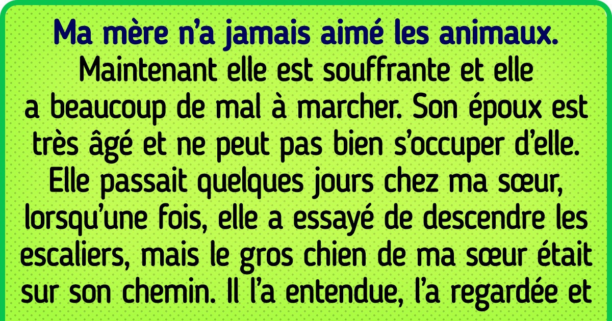 20 Preuves que nos animaux de compagnie nous comprennent et nous aiment plus que tout au monde 20 Preuves que nos animaux de compagnie nous comprennent et nous aiment plus que tout au monde