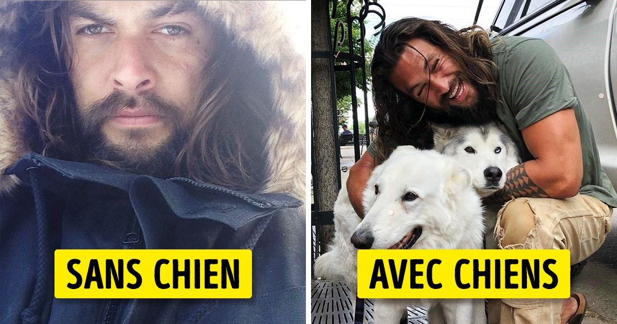 Selon la science, les propriétaires de chiens sont plus heureux que le reste du monde Selon la science, les propriétaires de chiens sont plus heureux que le reste du monde