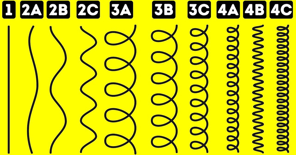 Découvre Ton Véritable Type de Cheveux Avec ce Test Simple Découvre Ton Véritable Type de Cheveux Avec ce Test Simple