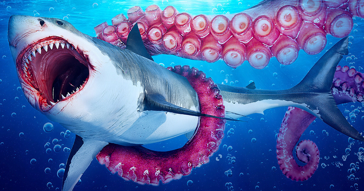 Et si le Mégalodon et le Bloop devaient se partager l’océan
