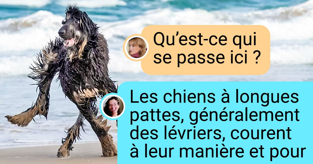 20 Photos curieuses qui trompent aussi bien l’œil que des tours de magie