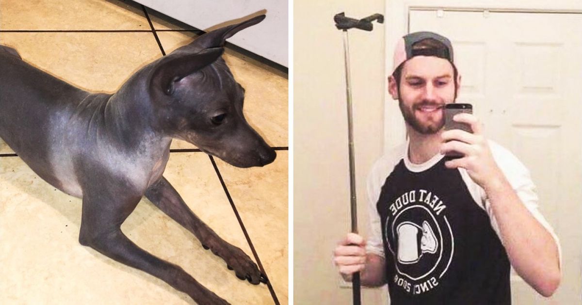 Ces 20 photos d’une bizarrerie absolue te laisseront perplexe